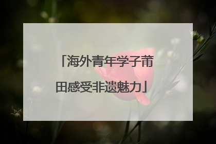 海外青年学子莆田感受非遗魅力