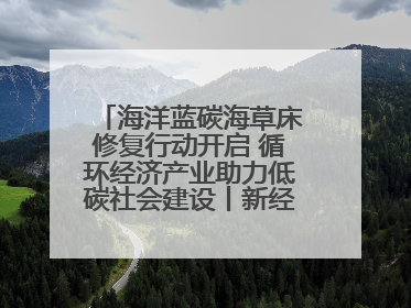 海洋蓝碳海草床修复行动开启 循环经济产业助力低碳社会建设丨新经济观察