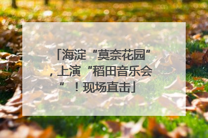 海淀“莫奈花园”，上演“稻田音乐会”！现场直击