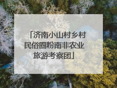 济南小山村乡村民俗圈粉南非农业旅游考察团