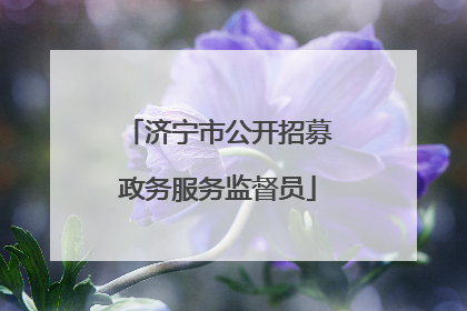 济宁市公开招募政务服务监督员