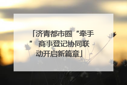 济青都市圈“牵手” 商事登记协同联动开启新篇章