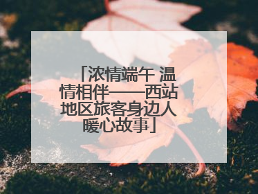 浓情端午 温情相伴——西站地区旅客身边人暖心故事