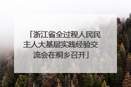 浙江省全过程人民民主人大基层实践经验交流会在桐乡召开