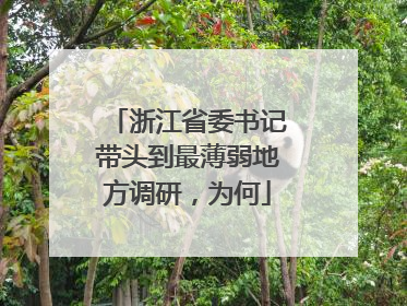 浙江省委书记带头到最薄弱地方调研，为何