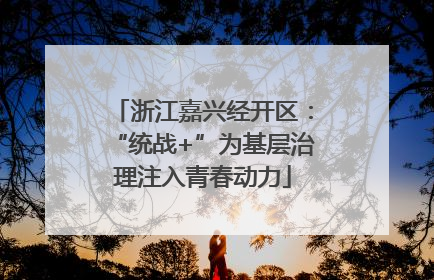 浙江嘉兴经开区：“统战+”为基层治理注入青春动力