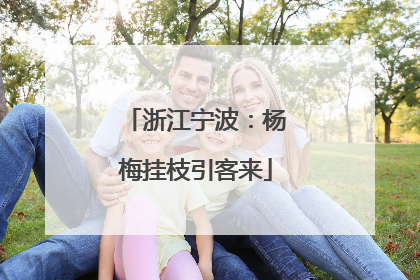 浙江宁波：杨梅挂枝引客来