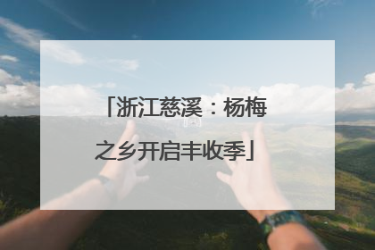 浙江慈溪：杨梅之乡开启丰收季