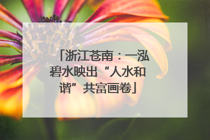 浙江苍南：一泓碧水映出“人水和谐”共富画卷