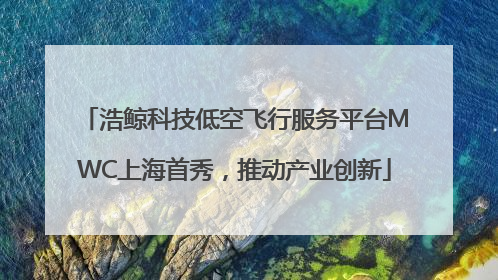 浩鲸科技低空飞行服务平台MWC上海首秀，推动产业创新