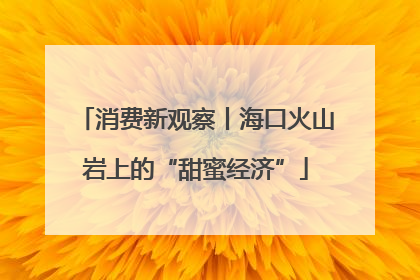 消费新观察丨海口火山岩上的“甜蜜经济”
