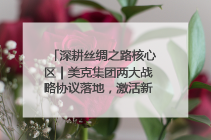 深耕丝绸之路核心区｜美克集团两大战略协议落地，激活新疆开放新动能