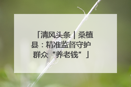 清风头条｜桑植县：精准监督守护群众“养老钱”