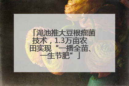 渑池推大豆根瘤菌技术，1.3万亩农田实现“一播全苗、一生节肥”