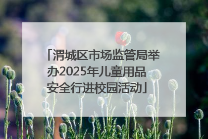 渭城区市场监管局举办2025年儿童用品安全行进校园活动