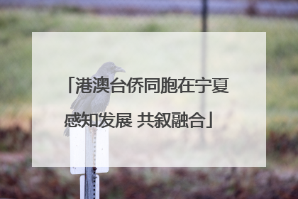港澳台侨同胞在宁夏感知发展 共叙融合
