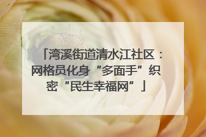湾溪街道清水江社区：网格员化身“多面手”织密“民生幸福网”