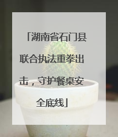 湖南省石门县联合执法重拳出击，守护餐桌安全底线