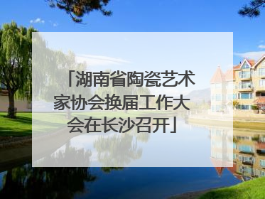 湖南省陶瓷艺术家协会换届工作大会在长沙召开