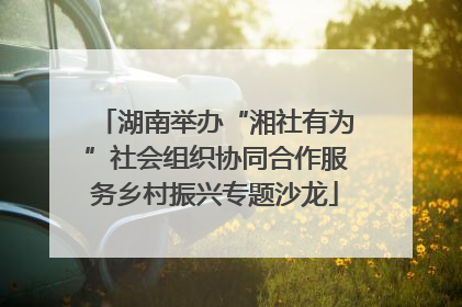 湖南举办“湘社有为”社会组织协同合作服务乡村振兴专题沙龙