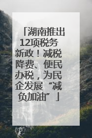 湖南推出12项税务新政！减税降费、便民办税，为民企发展“减负加油”