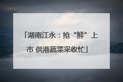 湖南江永：抢“鲜”上市 供港蔬菜采收忙