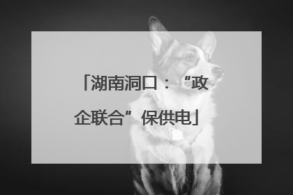 湖南洞口：“政企联合”保供电