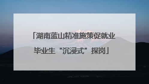 湖南蓝山精准施策促就业 毕业生“沉浸式”探岗