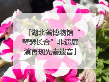 湖北省博物馆“琴瑟长合”非遗展演再现先秦遗音