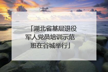 湖北省基层退役军人党员培训示范班在谷城举行
