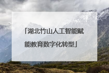 湖北竹山人工智能赋能教育数字化转型