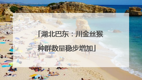 湖北巴东：川金丝猴种群数量稳步增加
