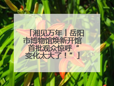 湘见万年丨岳阳市博物馆焕新开馆 首批观众惊呼“变化太大了！”