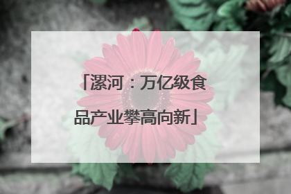 漯河：万亿级食品产业攀高向新