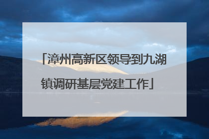 漳州高新区领导到九湖镇调研基层党建工作