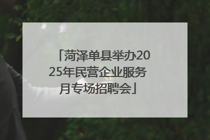 菏泽单县举办2025年民营企业服务月专场招聘会