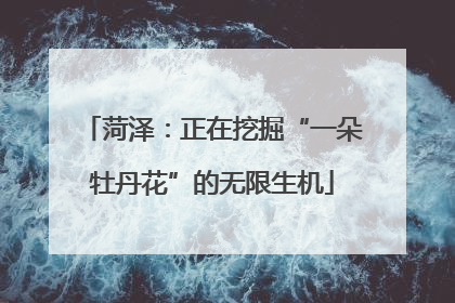 菏泽：正在挖掘“一朵牡丹花”的无限生机