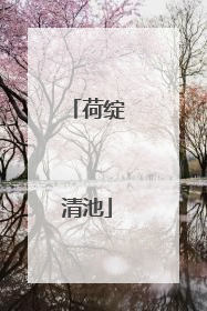 荷绽清池