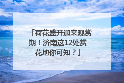 荷花盛开迎来观赏期！济南这12处赏花地你可知？