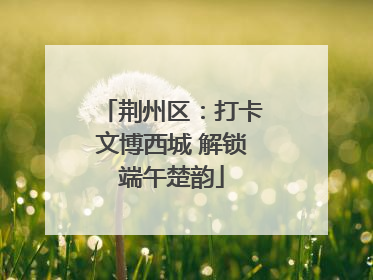 荆州区：打卡文博西城 解锁端午楚韵
