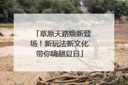 草原天路焕新登场！新玩法新文化带你嗨翻夏日