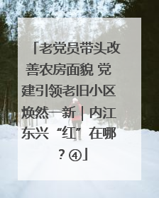 老党员带头改善农房面貌 党建引领老旧小区焕然一新｜内江东兴“红”在哪？④