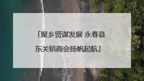 聚乡贤谋发展 永春县东关镇商会扬帆起航