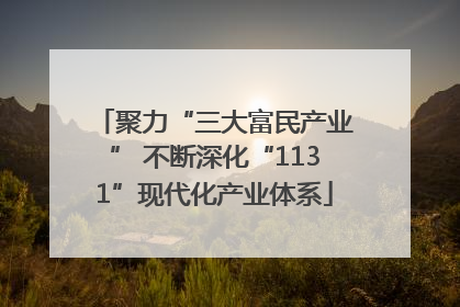 聚力“三大富民产业” 不断深化“1131”现代化产业体系