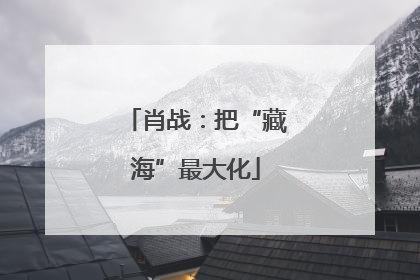 肖战：把“藏海”最大化