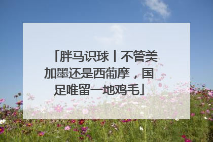 胖马识球丨不管美加墨还是西葡摩，国足唯留一地鸡毛