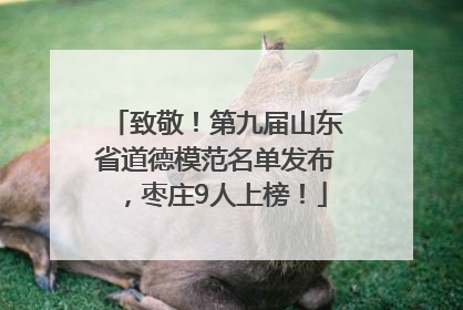 致敬！第九届山东省道德模范名单发布，枣庄9人上榜！