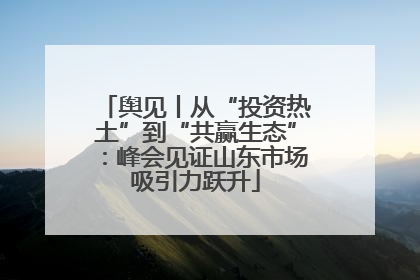舆见丨从“投资热土”到“共赢生态”：峰会见证山东市场吸引力跃升