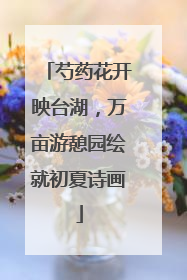 芍药花开映台湖，万亩游憩园绘就初夏诗画