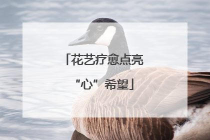 花艺疗愈点亮“心”希望